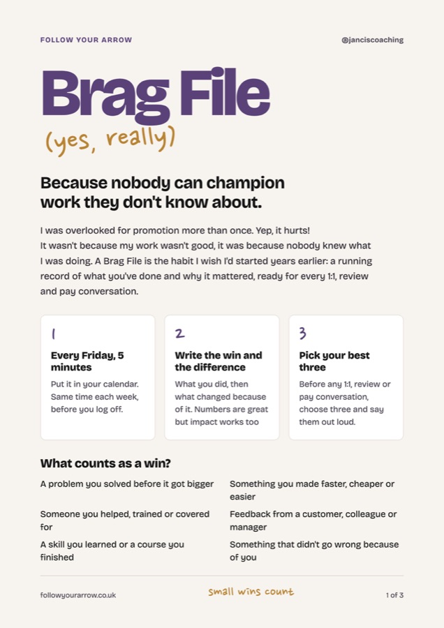 The first page of the Brag File: 'Brag File (yes, really)'
